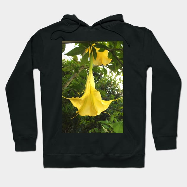 Angel Trumpet Flower Hoodie by pinkal